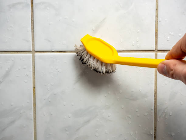 Best Emergency Mold Removal  in Fishhook, AK