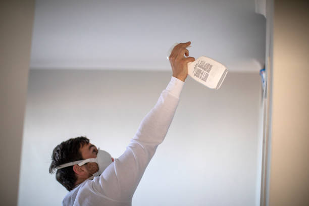 Best Mold Remediation Experts  in Fishhook, AK