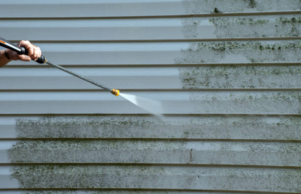 Best Commercial Mold Removal  in Fishhook, AK